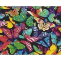 (D) Regenbogen Schmetterlinge 48*38 cm WD057