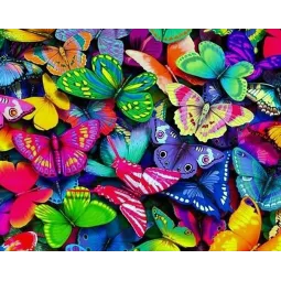 (D) Rainbow Butterflies 48*38 cm WD057
