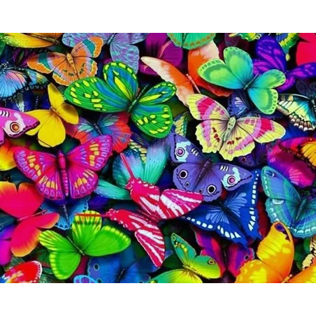 (D) Papillons Arc-en-ciel 48*38 cm WD057