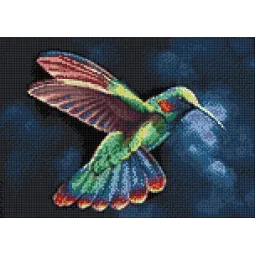 (D) Tropic Bird 38*27 cm WD058