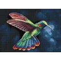 (D) Tropic Bird 38*27 cm WD058