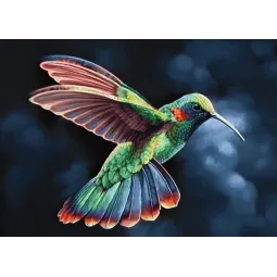 (D) Tropic Bird 38*27 cm WD058