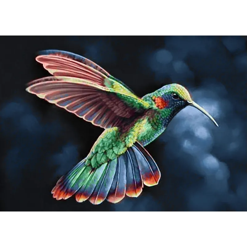 (D) Tropic Bird 38*27 cm WD058