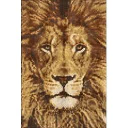 (D) Lion 20*30 cm WD068