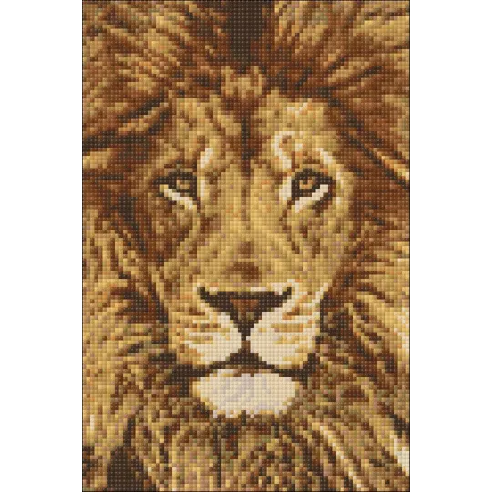 (D) Löwe 20*30 cm WD068