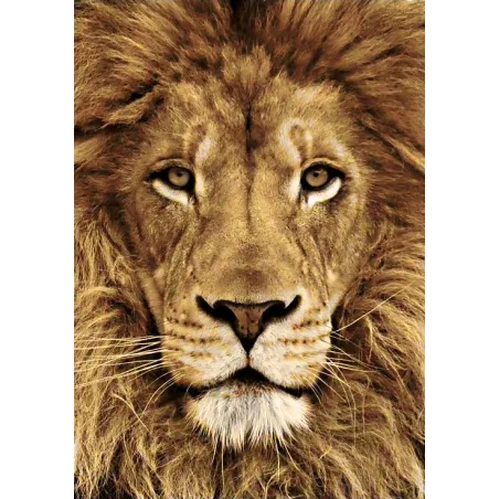 (D) Löwe 20*30 cm WD068