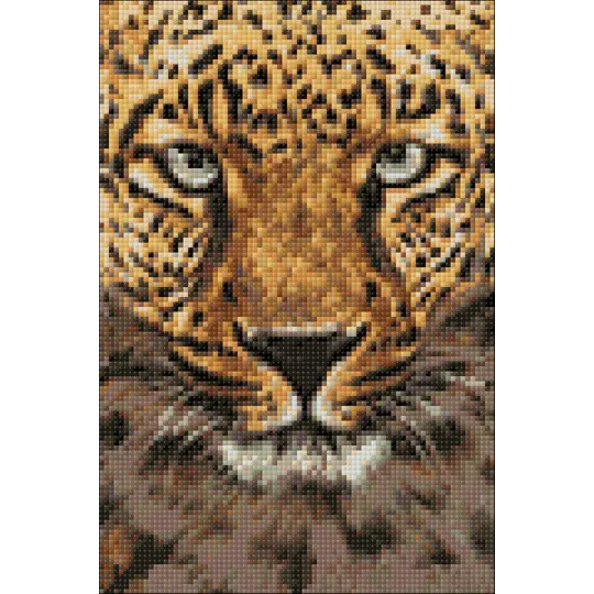 (D) Guépard 20 х 30 cm WD069