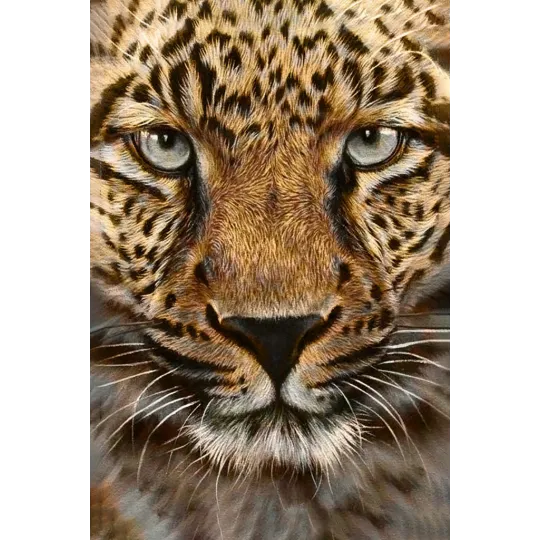 (D) Guépard 20 х 30 cm WD069