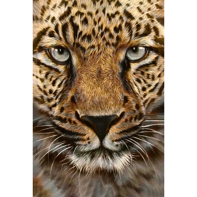 (D) Gepard 20 х 30 cm WD069