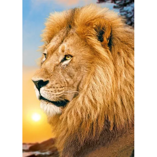 Liūtas karalius 27*38 cm WD070