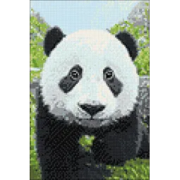 (D) Curious Panda  20*30 cm WD074