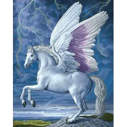 (D) Pégase 38*48 cm WD176