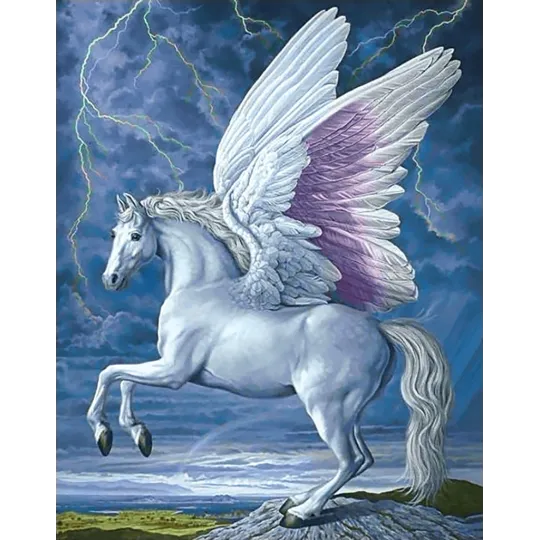 (D) Pégase 38*48 cm WD176