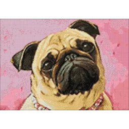 (S) Šunys 38*27 cm WD182 (D)