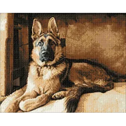 (D) Shepherd 48*38 cm WD184