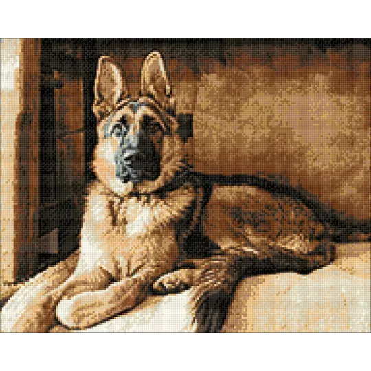 (D) Schäfer 48*38 cm WD184