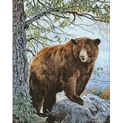 (D) Brown Bear 38*48 cm WD083
