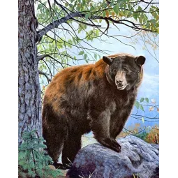 (D) Brown Bear 38*48 cm WD083