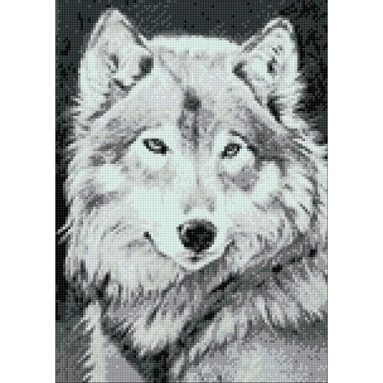 (D) Grey Wolf  27*38 cm WD086