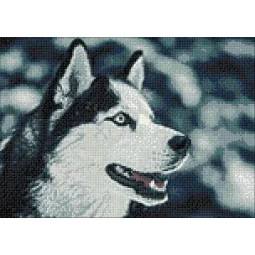 (D) Nothern Friend 27*38 cm WD087