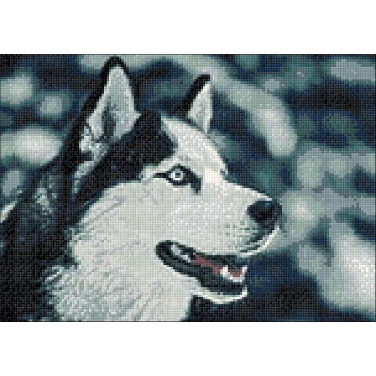 (D) Ami du Nord 27*38 cm WD087