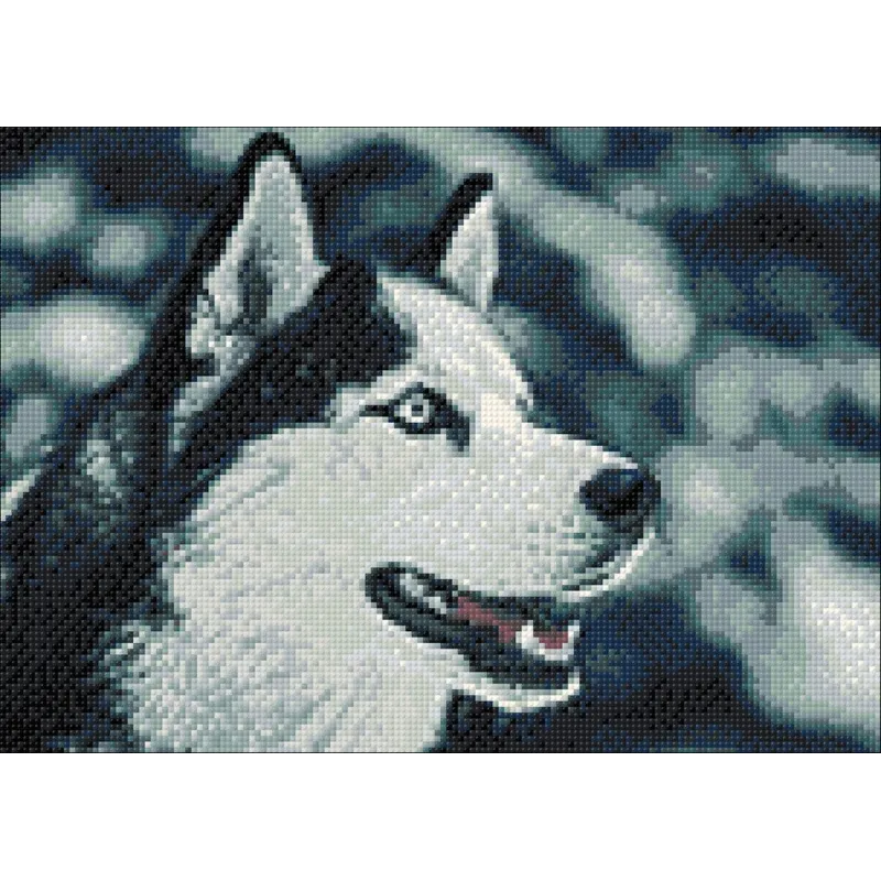 (D) Ami du Nord 27*38 cm WD087