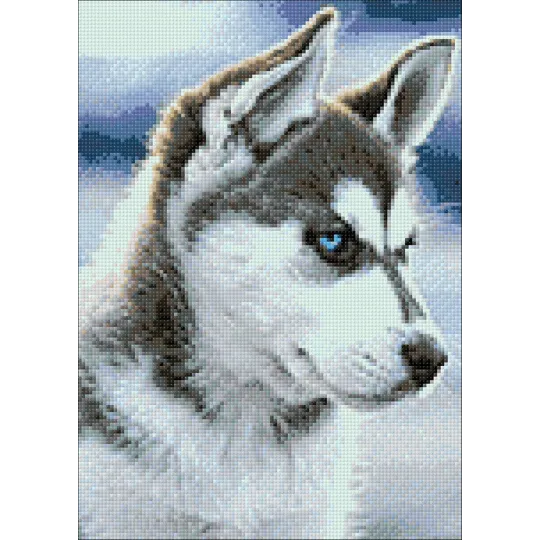 (D) Snow Dog 27*38 cm WD088