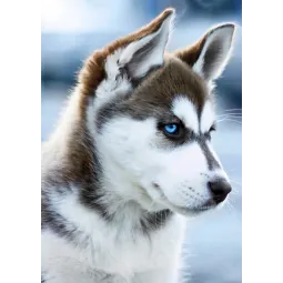 (D) Snow Dog 27*38 cm WD088
