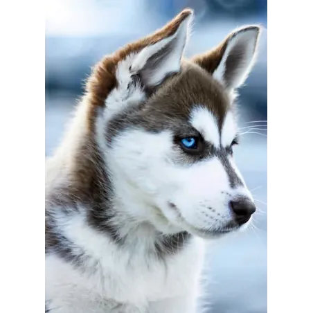 (D) Snow Dog 27*38 cm WD088