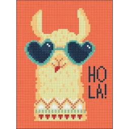 Хола Лама WD2433