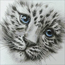 (D) Mažas plėšrūnas 38*38 cm WD2342