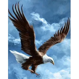 (D) Himmelsstürmer 38*48 WD2346