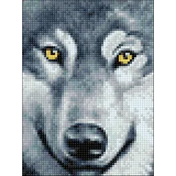 (D) Wolf Look 15*20 cm WD2361