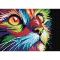 Regenbogenkatze 38 х 27 cm WD200