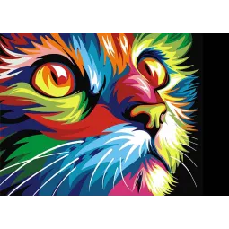 Rainbow Cat 38 х 27 cm WD200