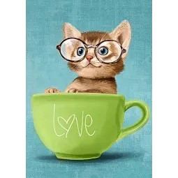 (D) Pickle 27*38 cm WD202