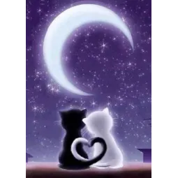 Unter dem Mond 20 x 30 cm WD204