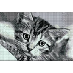 (D) Schwarz-Weiß-Katze 30 х 20 cm WD213