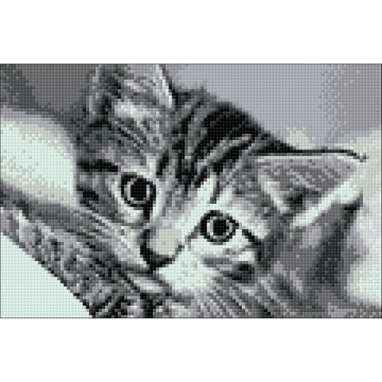 (D) Chat Noir et Blanc 30 х 20 cm WD213