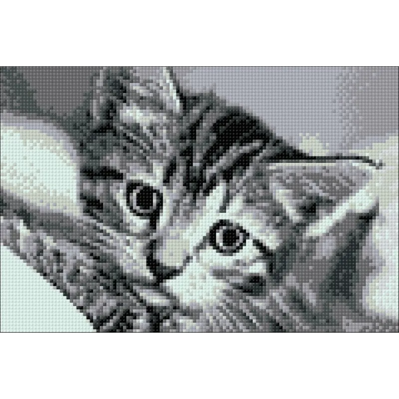 (D) Chat Noir et Blanc 30 х 20 cm WD213