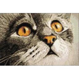 (D) Surprise 30 х 20 cm WD215