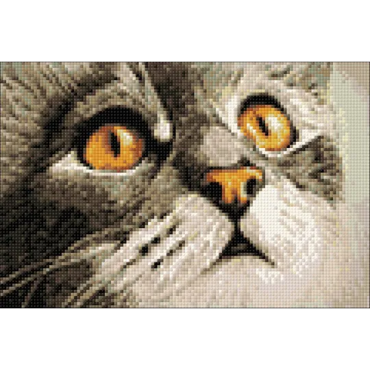 Изумление WD215