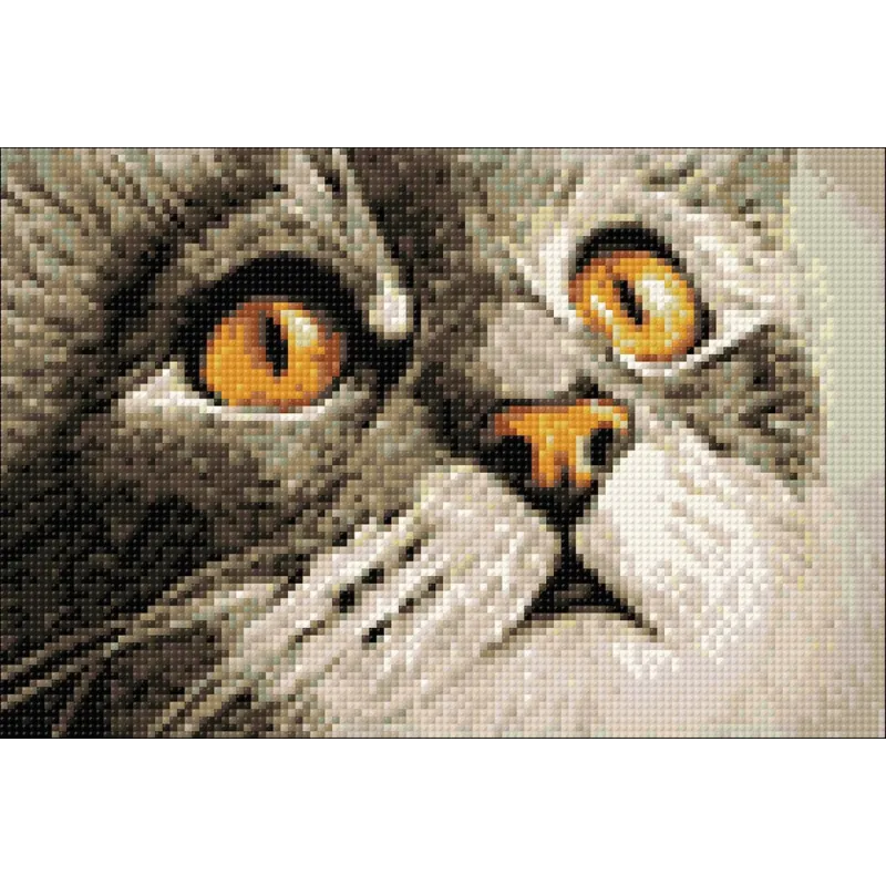 Изумление WD215