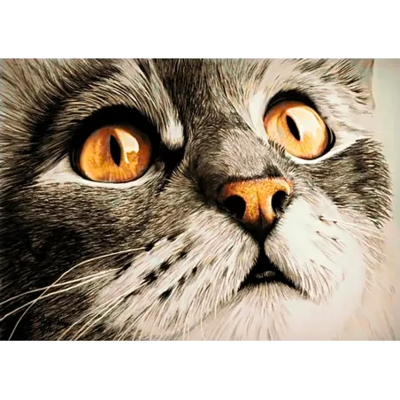 Изумление WD215