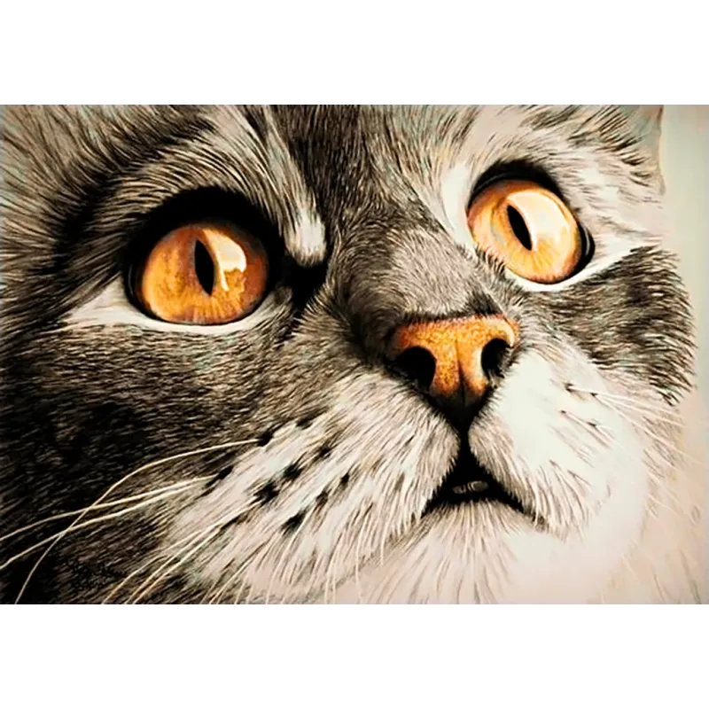 Изумление WD215