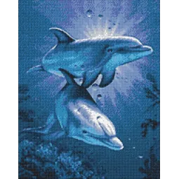 (D) Delfinų pasimatymai 38 x 48 cm WD222