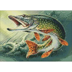 Pike 38 x 27 cm WD225