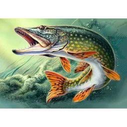 Pike 38 x 27 cm WD225