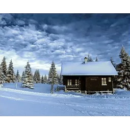 (D) Valley of Snow  48*38 cm WD106
