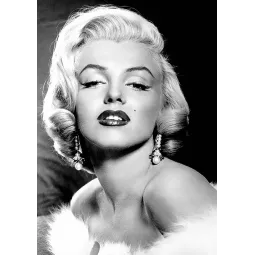 Marilyn Monroe 20*30 cm WD135